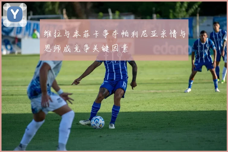 维拉与本菲卡争夺帕利尼亚亲情与恩师成竞争关键因素