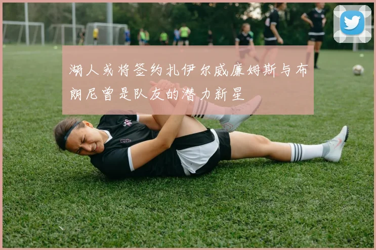湖人或将签约扎伊尔威廉姆斯与布朗尼曾是队友的潜力新星