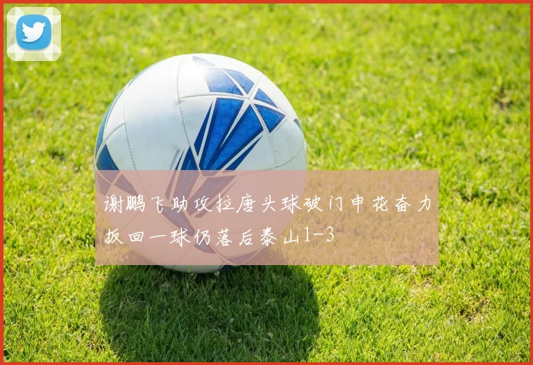 谢鹏飞助攻拉唐头球破门申花奋力扳回一球仍落后泰山1-3